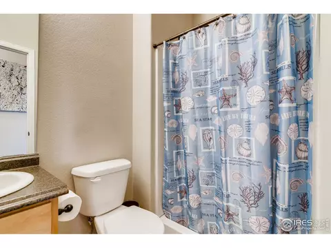 774 Corn Stalk Ct, Windsor, CO 80550 photo 14