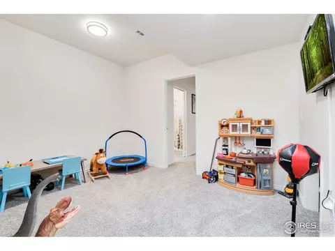 2118 Cape Hatteras Dr, Windsor, CO 80550 photo 33