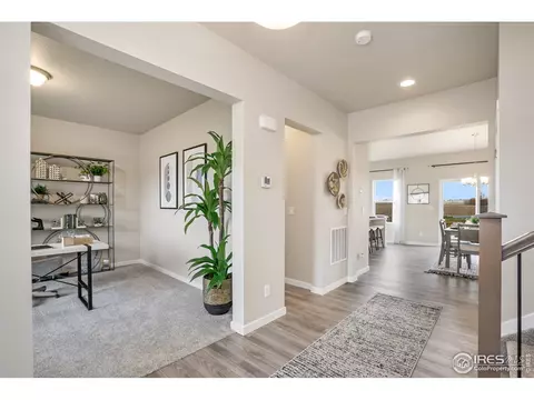 1125 Ibex Dr, Severance, CO 80550 photo 23