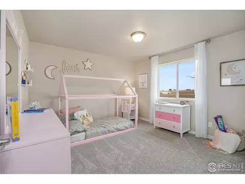 1125 Ibex Dr, Severance, CO 80550 photo 24