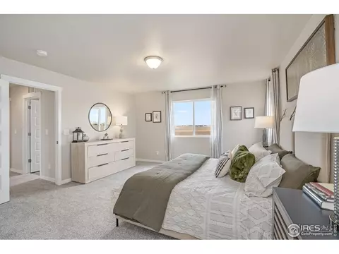 1125 Ibex Dr, Severance, CO 80550 photo 11