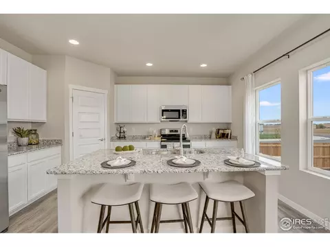1125 Ibex Dr, Severance, CO 80550 photo 19