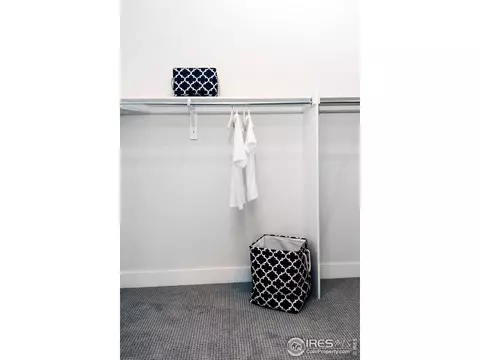 1758 Bounty Dr, Windsor, CO 80550 photo 22