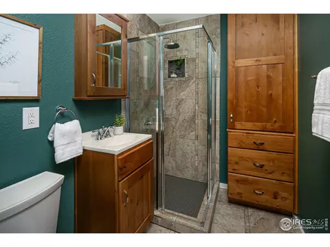 709 Locust St, Windsor, CO 80550 photo 9
