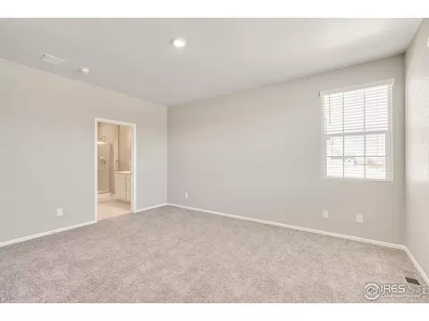 1769 Floret Dr, Windsor, CO 80550 photo 17