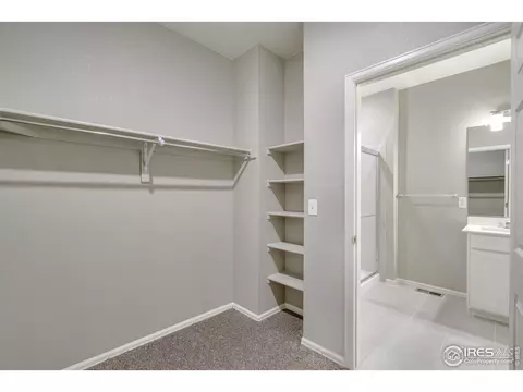 1769 Floret Dr, Windsor, CO 80550 photo 16