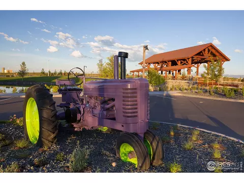 1769 Floret Dr, Windsor, CO 80550 photo 29