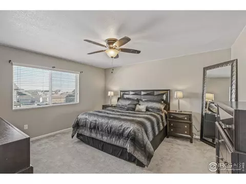 5401 Osbourne Dr, Windsor, CO 80550 photo 23