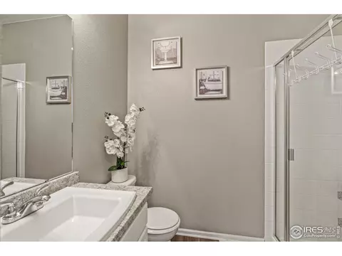 5401 Osbourne Dr, Windsor, CO 80550 photo 19