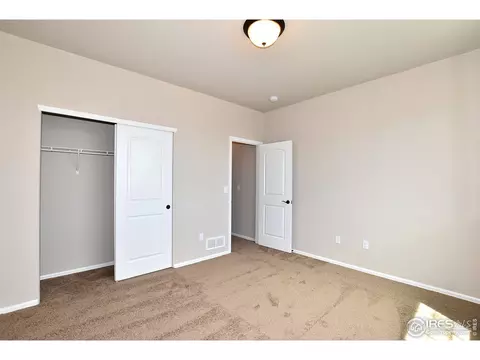 1897 Abundance Dr, Windsor, CO 80550 photo 31