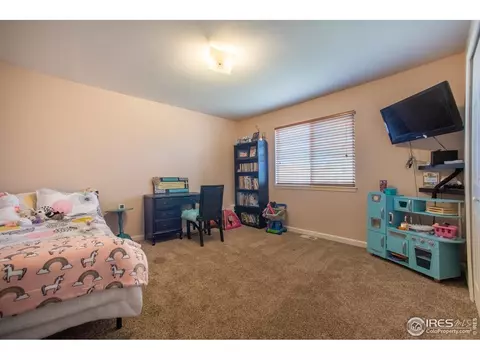 304 Suzann St, Wiggins, CO 80654 photo 14
