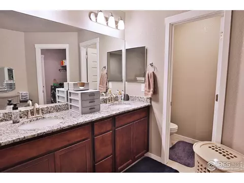 1484 Heirloom Dr, Windsor, CO 80550 photo 31