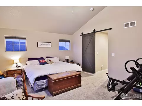 1484 Heirloom Dr, Windsor, CO 80550 photo 24