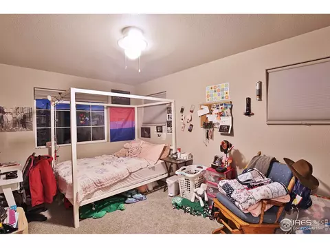 1484 Heirloom Dr, Windsor, CO 80550 photo 35