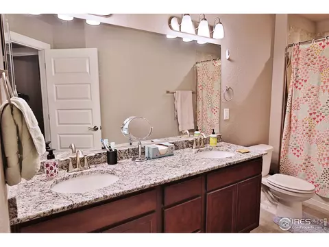 1484 Heirloom Dr, Windsor, CO 80550 photo 36