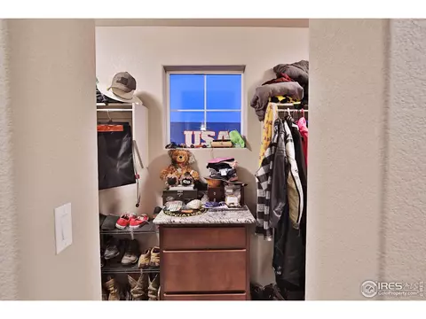 1484 Heirloom Dr, Windsor, CO 80550 photo 29