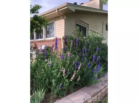 1005 W County Rd #4E, Berthoud, CO 80513 photo 10