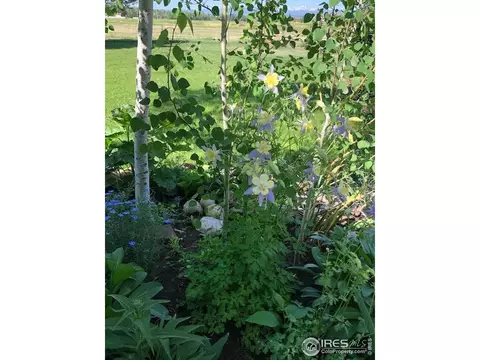 1005 W County Rd #4E, Berthoud, CO 80513 photo 6