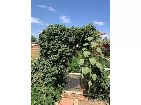 1005 W County Rd #4E, Berthoud, CO 80513 photo 12