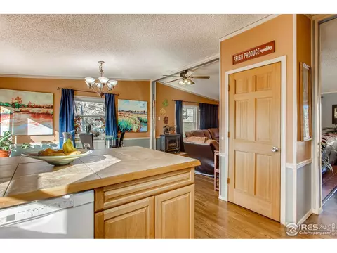 193 Groover Dr, Lyons, CO 80540 photo 14