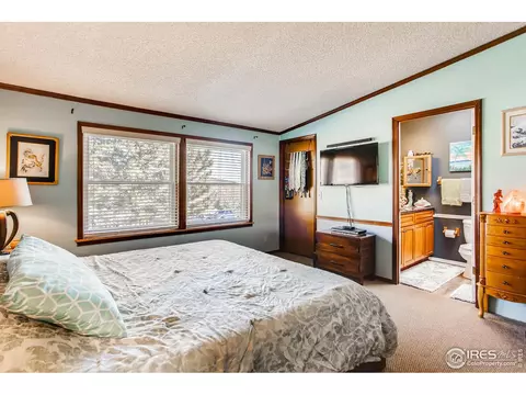 193 Groover Dr, Lyons, CO 80540 photo 16