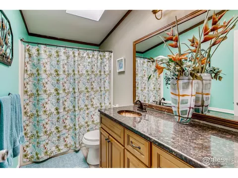 193 Groover Dr, Lyons, CO 80540 photo 18