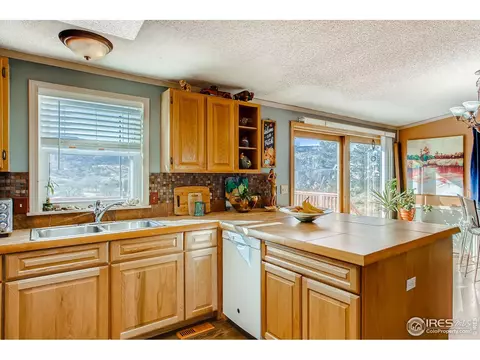 193 Groover Dr, Lyons, CO 80540 photo 13