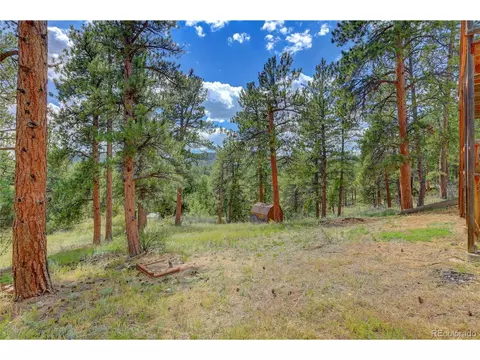 33374 Freda Rd, Pine, CO 80470 photo 29