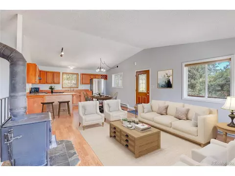 33374 Freda Rd, Pine, CO 80470 photo 12
