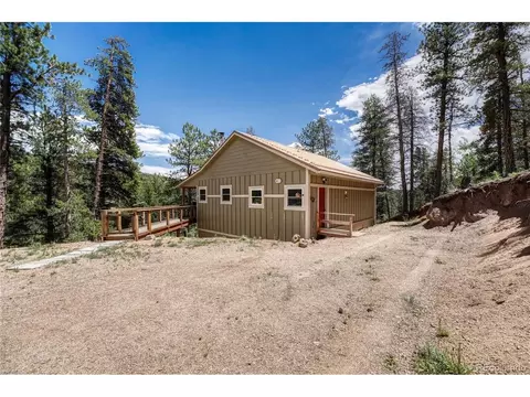 Other - 133 Brown St, Bailey, CO 80421 photo 6 of 7