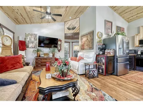 Living - 133 Brown St, Bailey, CO 80421 photo 4 of 6
