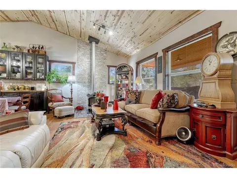 Living - 133 Brown St, Bailey, CO 80421 photo 6 of 6