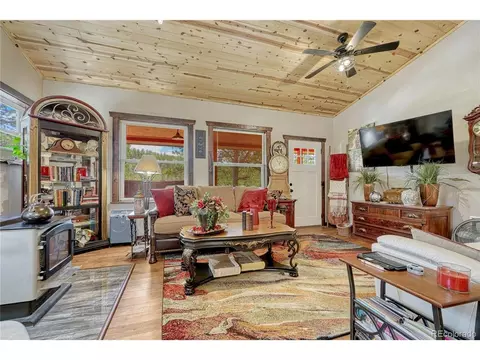 Living - 133 Brown St, Bailey, CO 80421 photo 2 of 6