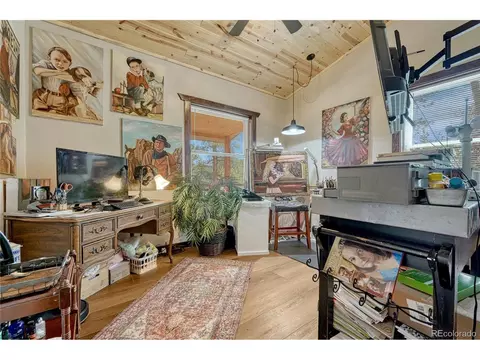 Other - 133 Brown St, Bailey, CO 80421 photo 2 of 7