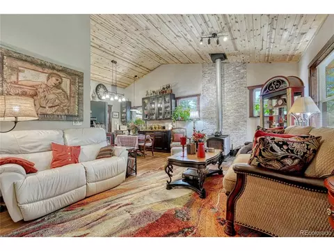 Living - 133 Brown St, Bailey, CO 80421 photo 5 of 6
