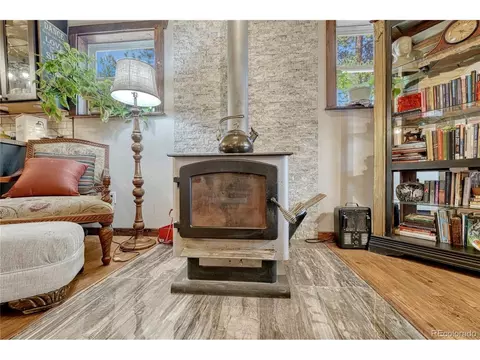 133 Brown St, Bailey, CO 80421