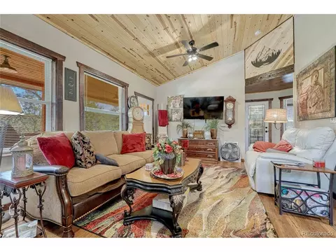 Living - 133 Brown St, Bailey, CO 80421 photo 3 of 6