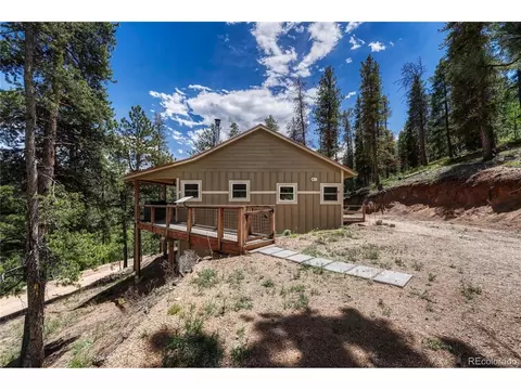 Other - 133 Brown St, Bailey, CO 80421 photo 1 of 7