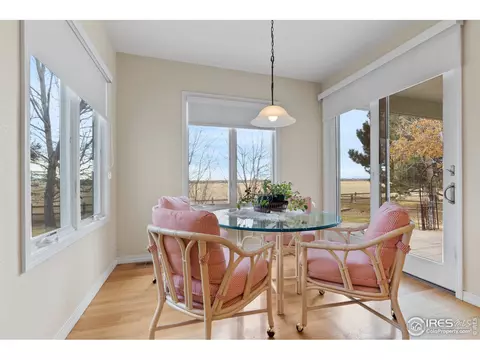 1917 Kaplan Dr, Windsor, CO 80550 photo 8