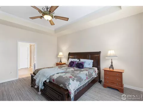 1917 Kaplan Dr, Windsor, CO 80550 photo 12