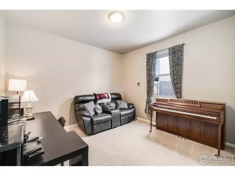 1533 Highfield Ct, Windsor, CO 80550 photo 19