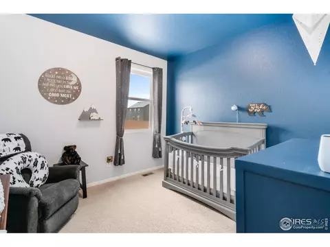 1533 Highfield Ct, Windsor, CO 80550 photo 16