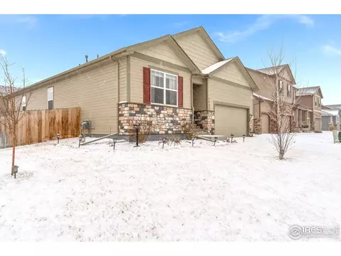 1533 Highfield Ct, Windsor, CO 80550 photo 26