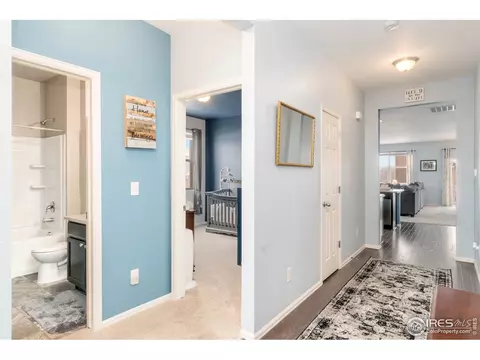 1533 Highfield Ct, Windsor, CO 80550 photo 3