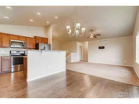 5631 Bexley Dr, Windsor, CO 80550 photo 11