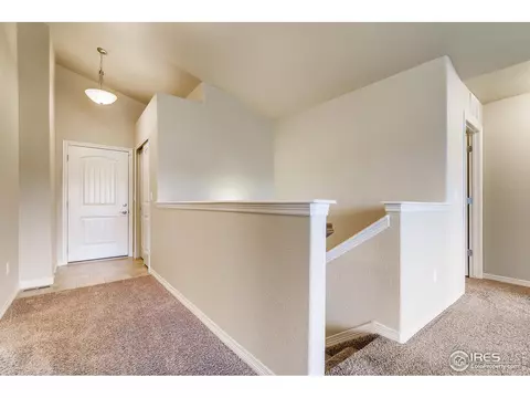 5631 Bexley Dr, Windsor, CO 80550 photo 5