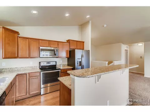 5631 Bexley Dr, Windsor, CO 80550 photo 10