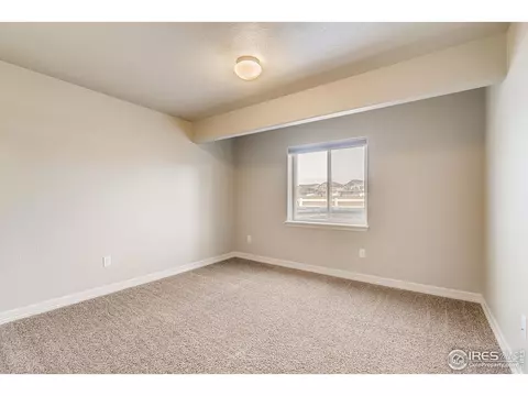 5631 Bexley Dr, Windsor, CO 80550 photo 23