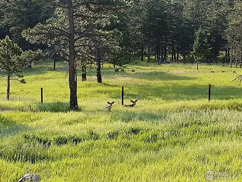 5570 Sunshine Canyon Dr, Boulder, CO 80302 photo 37