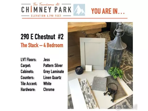 234 E Chestnut St #4, Windsor, CO 80550 photo 3